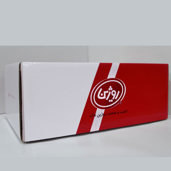 نمونه کارهای زینورنگ سون